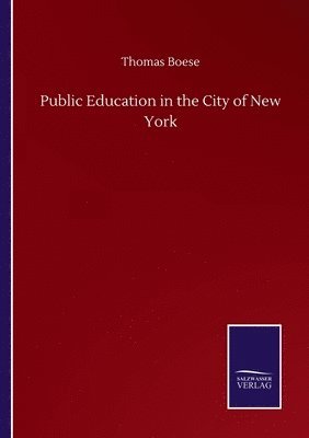 bokomslag Public Education in the City of New York