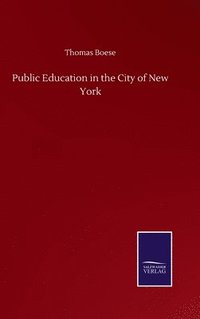 bokomslag Public Education in the City of New York