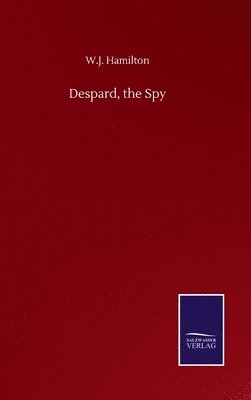 bokomslag Despard, the Spy