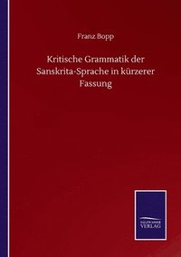 bokomslag Kritische Grammatik der Sanskrita-Sprache in kürzerer Fassung