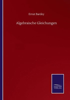 bokomslag Algebraische Gleichungen