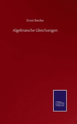 bokomslag Algebraische Gleichungen