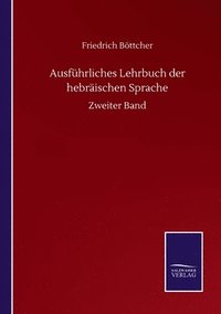 bokomslag Ausfhrliches Lehrbuch der hebrischen Sprache