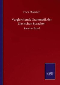 bokomslag Vergleichende Grammatik der Slavischen Sprachen