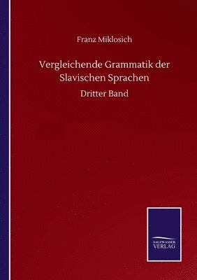 bokomslag Vergleichende Grammatik der Slavischen Sprachen