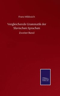 bokomslag Vergleichende Grammatik Der Slavischen Sprachen