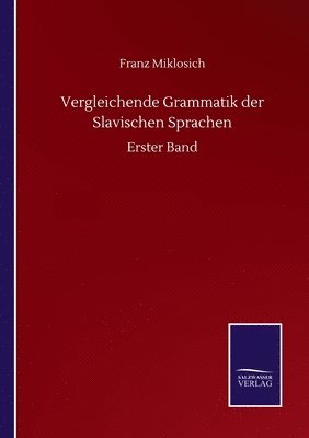 bokomslag Vergleichende Grammatik Der Slavischen Sprachen