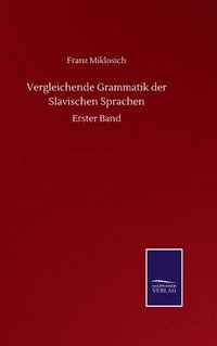 bokomslag Vergleichende Grammatik Der Slavischen Sprachen