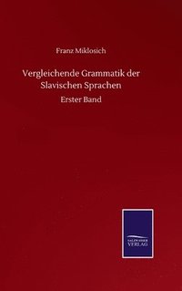 bokomslag Vergleichende Grammatik der Slavischen Sprachen