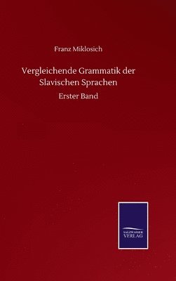 bokomslag Vergleichende Grammatik der Slavischen Sprachen