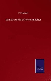 bokomslag Spinoza und Schleichermacher