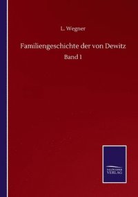 bokomslag Familiengeschichte der von Dewitz