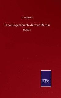 bokomslag Familiengeschichte der von Dewitz