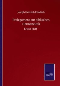 bokomslag Prolegomena zur biblischen Hermeneutik