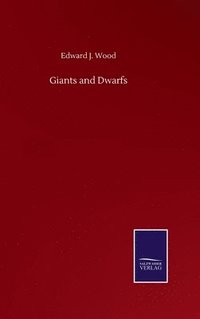 bokomslag Giants and Dwarfs