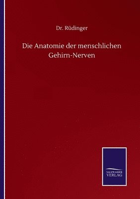 Anatomie der menschlichen Gehirn-Nerven
