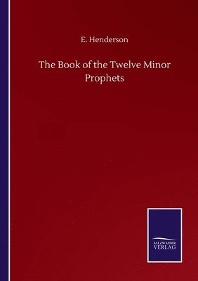 bokomslag Book of the Twelve Minor Prophets