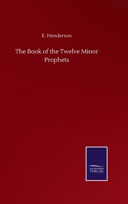 bokomslag The Book of the Twelve Minor Prophets