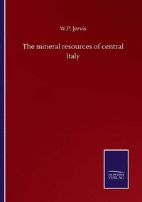 bokomslag The mineral resources of central Italy