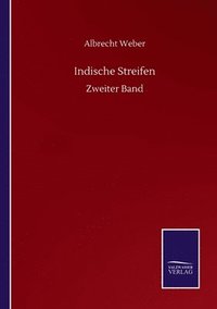 bokomslag Indische Streifen