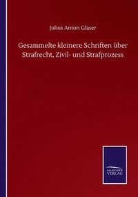 bokomslag Gesammelte kleinere Schriften ber Strafrecht, Zivil- und Strafprozess