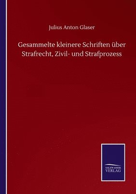 bokomslag Gesammelte kleinere Schriften ber Strafrecht, Zivil- und Strafprozess