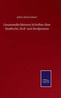 bokomslag Gesammelte kleinere Schriften ber Strafrecht, Zivil- und Strafprozess