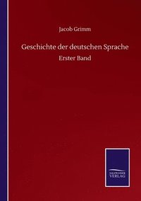 bokomslag Geschichte der deutschen Sprache