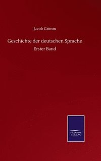 bokomslag Geschichte der deutschen Sprache