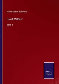 bokomslag David Waldner