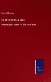 bokomslag Stiefkind des Glücks