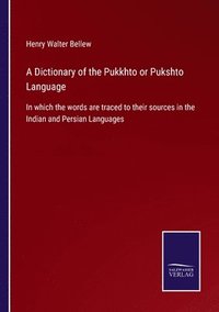 bokomslag A Dictionary of the Pukkhto or Pukshto Language