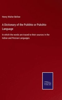 bokomslag A Dictionary of the Pukkhto or Pukshto Language