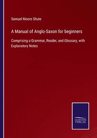 bokomslag Manual of Anglo-Saxon for beginners