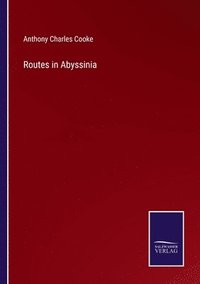 bokomslag Routes in Abyssinia