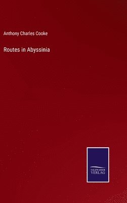 bokomslag Routes in Abyssinia