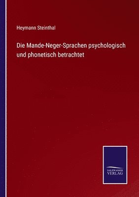 Heymann Steinthal - Mande-Neger-Sprachen psychologisch und phonetisch betrachtet, Häftad
