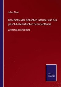 bokomslag Geschichte der biblischen Literatur und des jdsch-hellenistischen Schriftenthums
