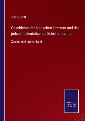 bokomslag Geschichte der biblischen Literatur und des jdsch-hellenistischen Schriftenthums