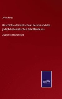 bokomslag Geschichte der biblischen Literatur und des jdsch-hellenistischen Schriftenthums