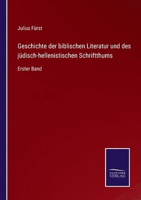 bokomslag Geschichte der biblischen Literatur und des jdisch-hellenistischen Schriftthums