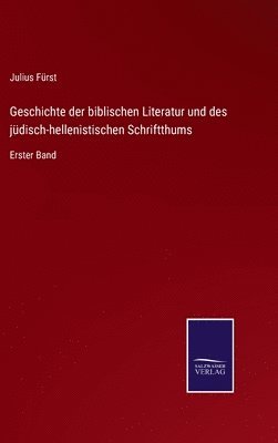 bokomslag Geschichte der biblischen Literatur und des jdisch-hellenistischen Schriftthums