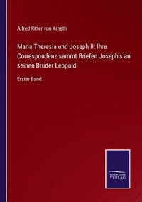 bokomslag Maria Theresia und Joseph II