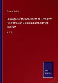 bokomslag Catalogue of the Specimens of Hemiptera Heteroptera in Collection of the British Museum