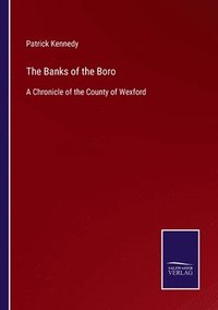 bokomslag The Banks of the Boro