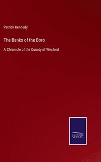 bokomslag The Banks of the Boro