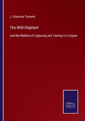 Wild Elephant 1