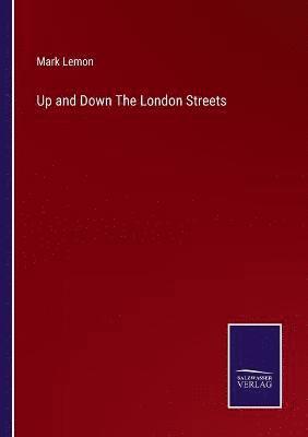 bokomslag Up and Down The London Streets