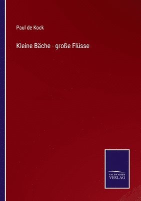 bokomslag Kleine Bche - groe Flsse