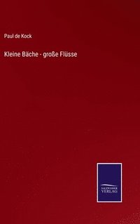 bokomslag Kleine Bche - groe Flsse